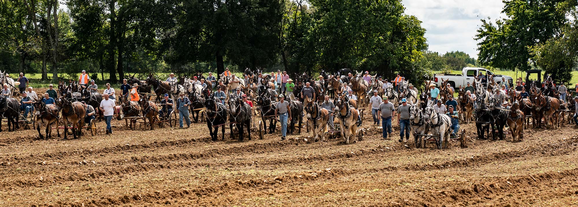 Guinness World Record Mule Plow 09/28/18